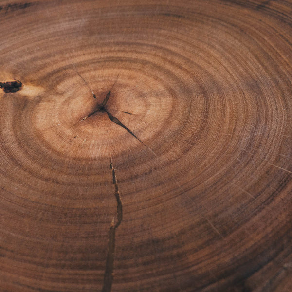 Queijaria Alpi - Tábua de madeira rústica artesanal Tronco