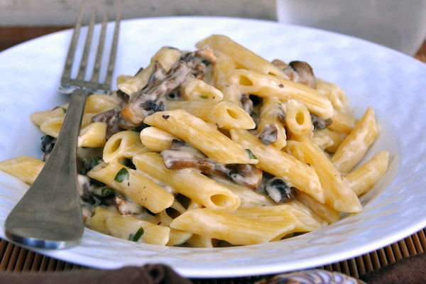 Receita com queijo canastra: Penne ai funghi porcini.